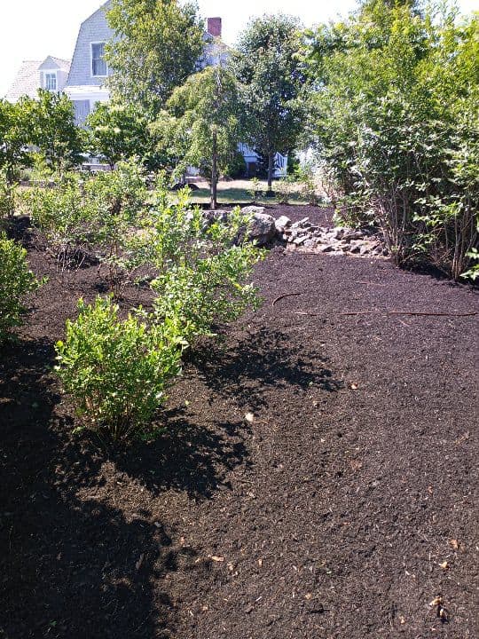 Garden Bed Preparation