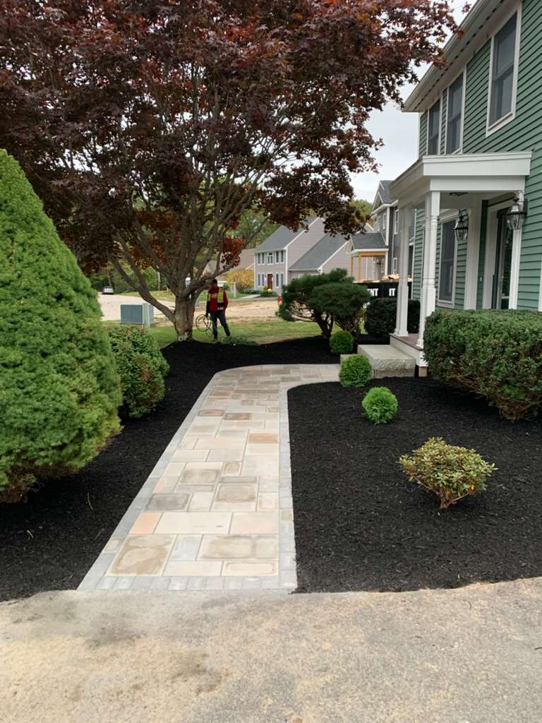 Plant selection project 2 by Vasquez Landscaping