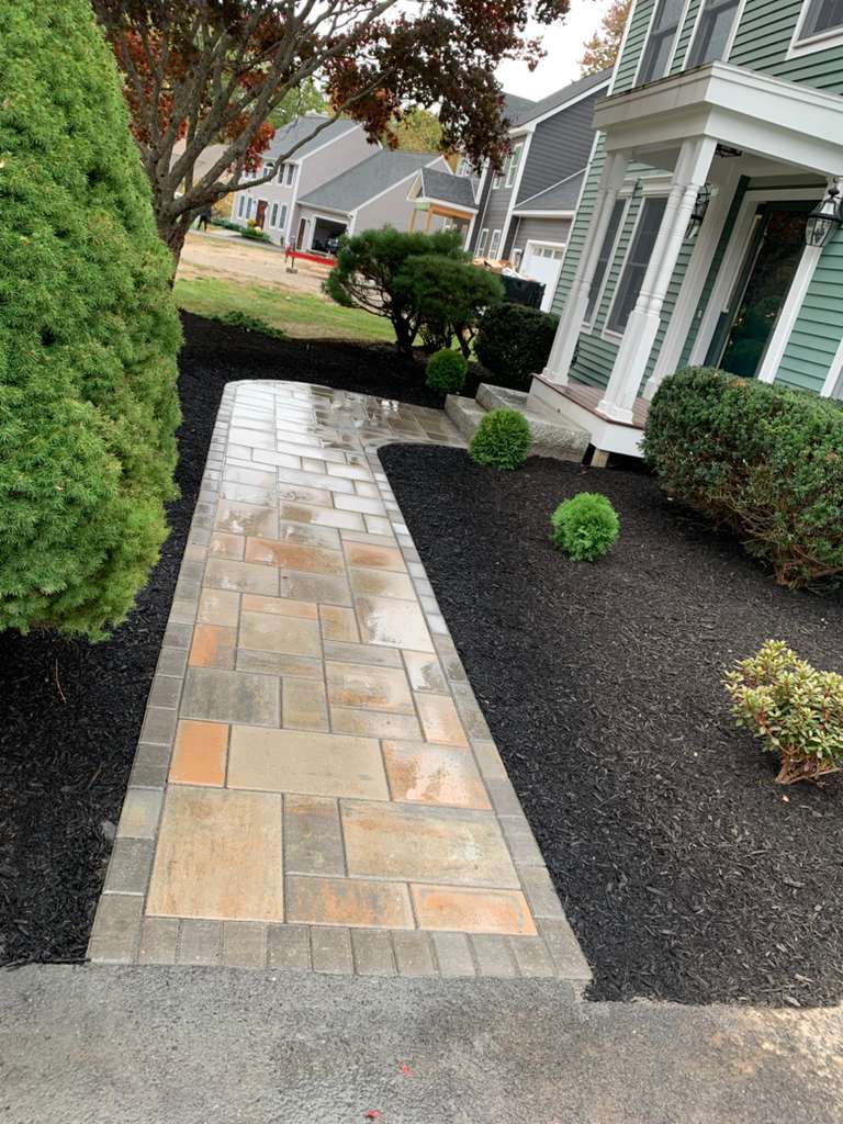 Plant selection project 3 by Vasquez Landscaping