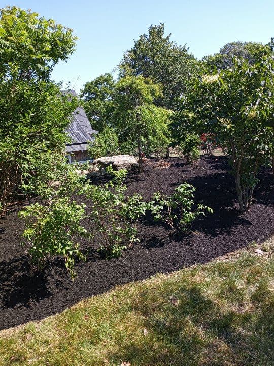 Garden design project 1 by Vasquez Landscaping