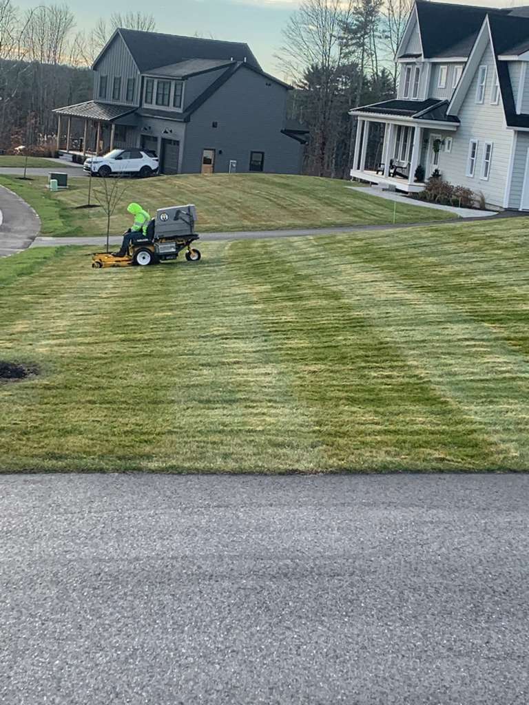 Lawn Installation
