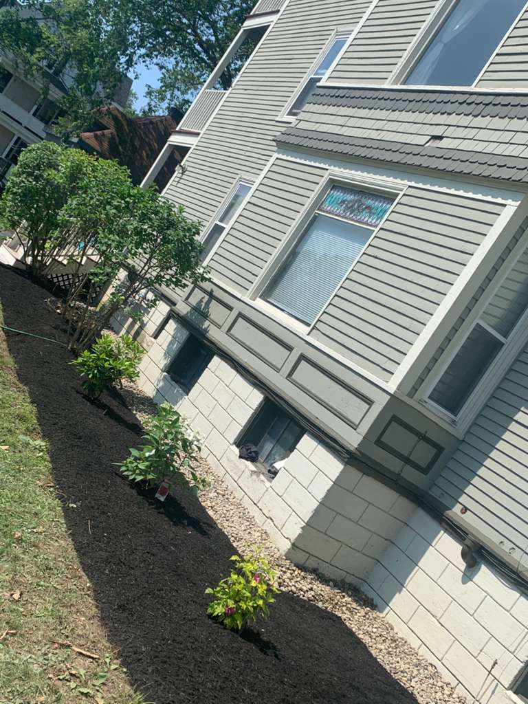 Lawn Mowing / Maintenance