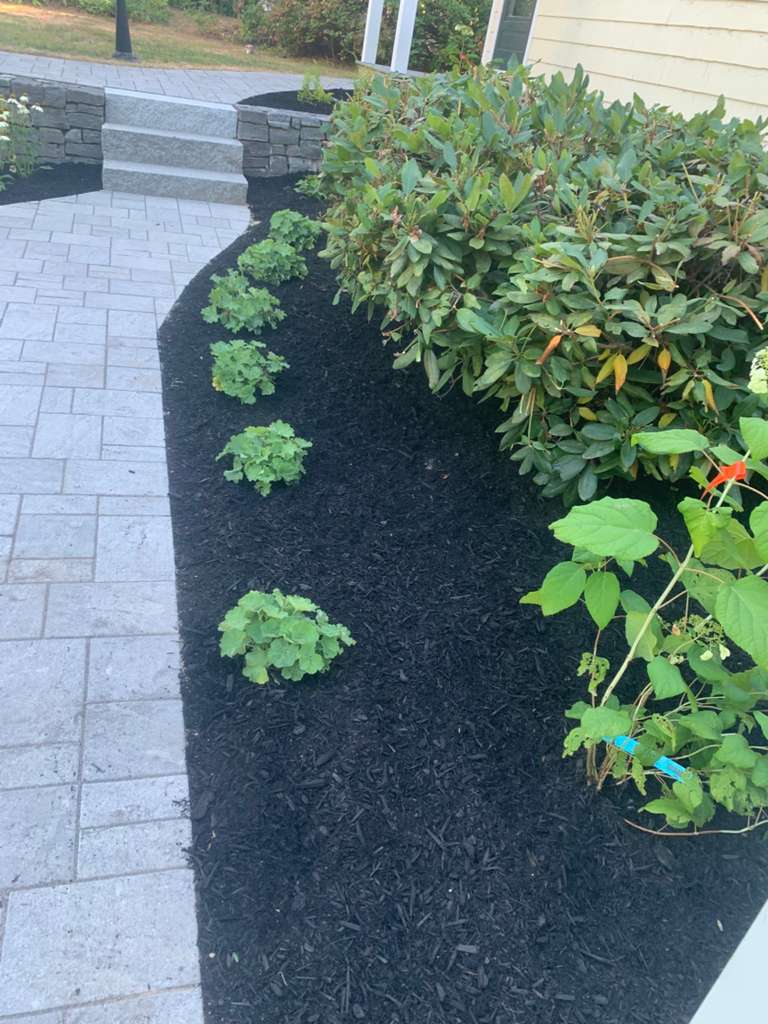 Patio and walkway construction project 65 by Vasquez Landscaping
