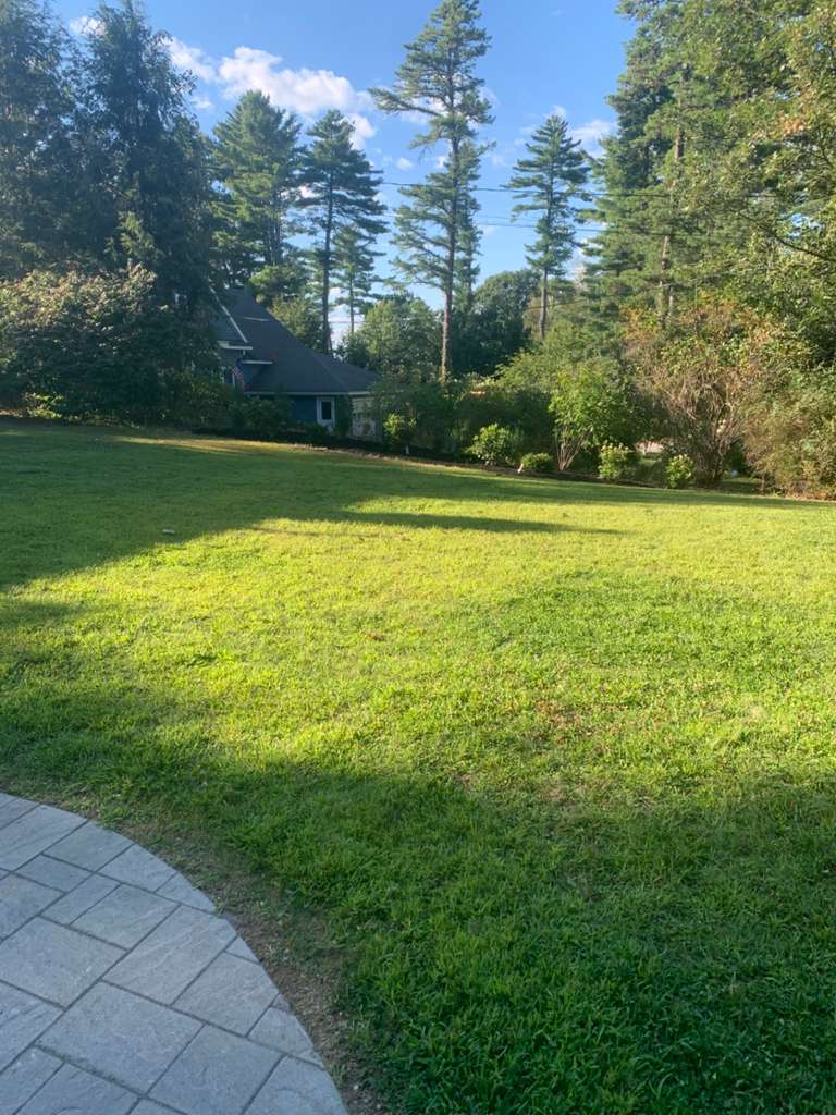 Patio and walkway construction project 67 by Vasquez Landscaping
