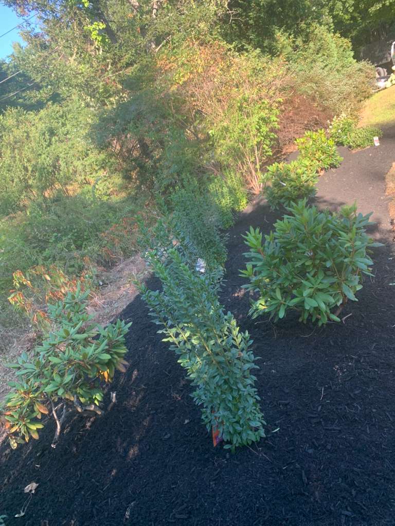 Patio and walkway construction project 68 by Vasquez Landscaping