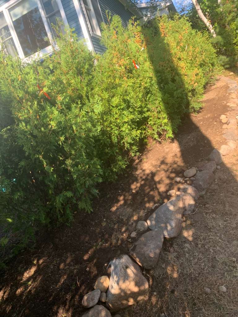 Patio and walkway construction project 73 by Vasquez Landscaping