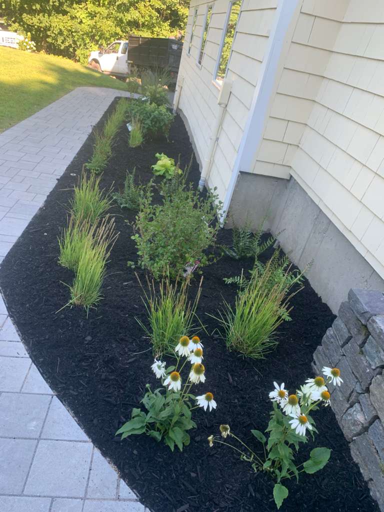 Weeding and mulching project 5 by Vasquez Landscaping